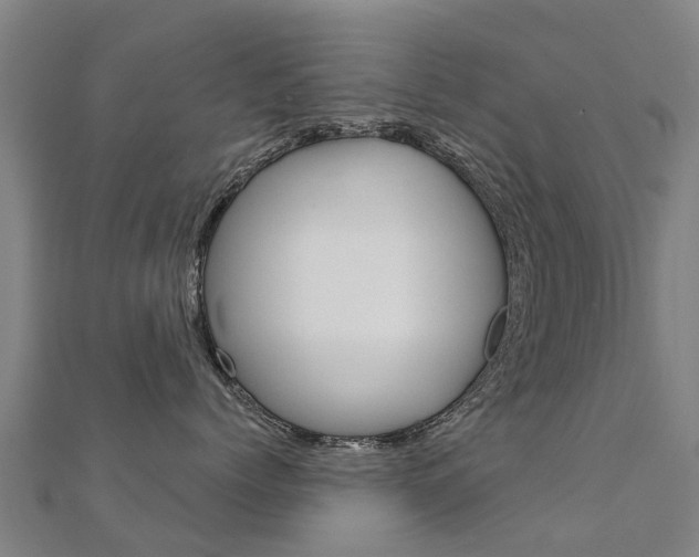 X0000112430768200908141111