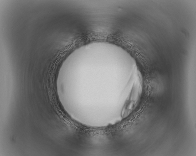 X0000112430769200908141111