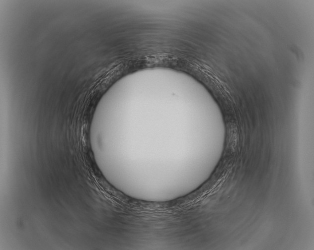 X0000112430770200908141111