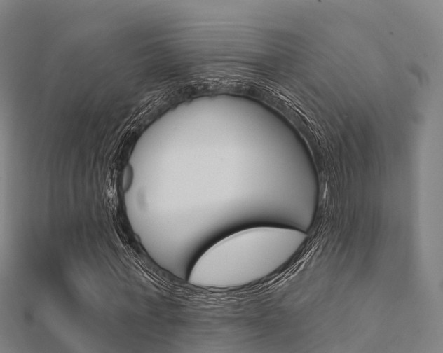 X0000112430771200908141110