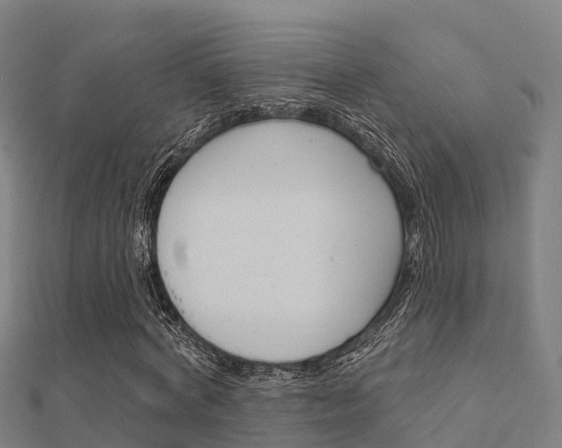X0000112430772200908141110
