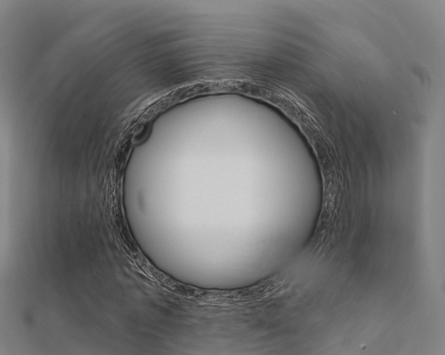 X0000112430773200908141110