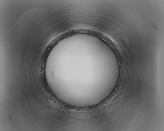 X0000112430775200908141110