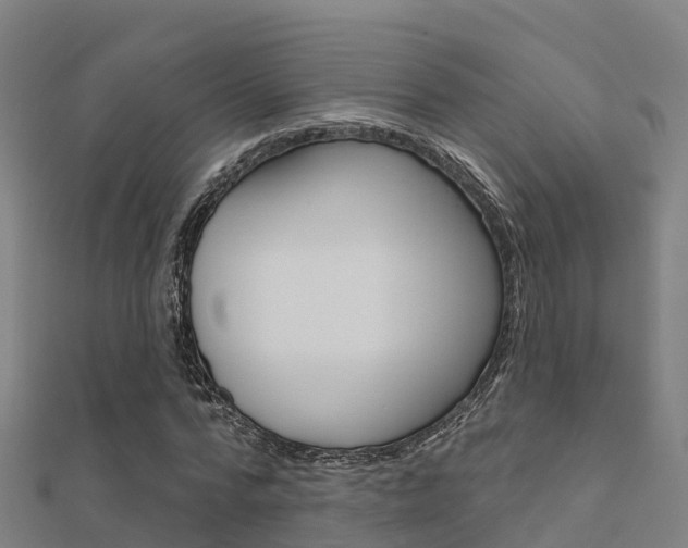 X0000112430776200908141110