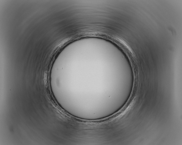X0000112430777200908141110