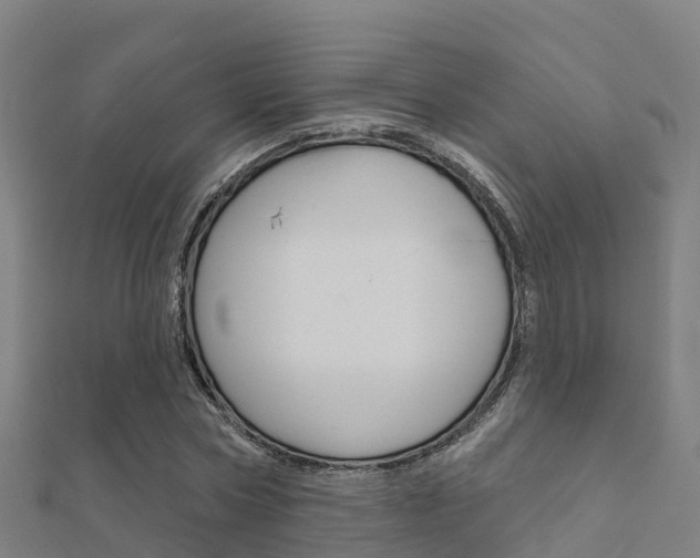 X0000112430778200908141110
