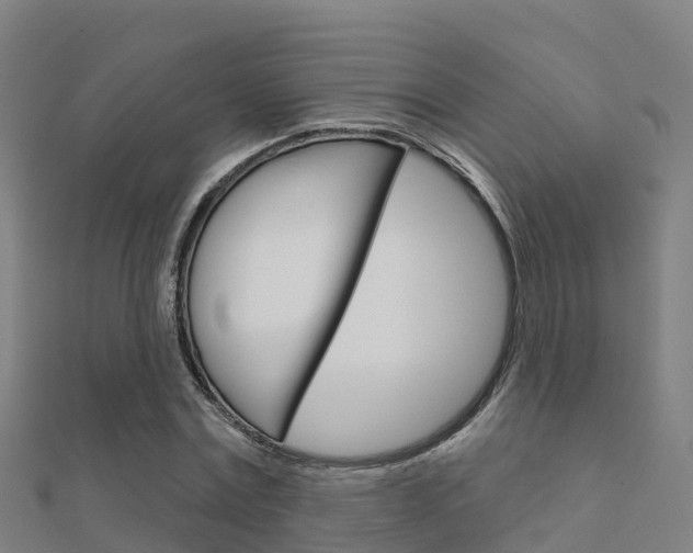 X0000112430779200908141110