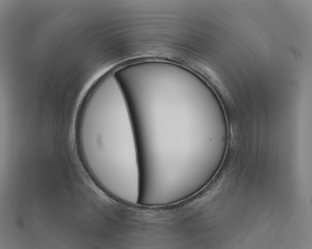 X0000112430780200908141110