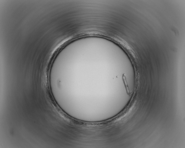X0000112430782200908141110