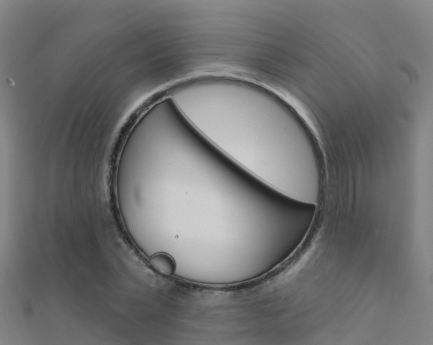 X0000112430783200908141110