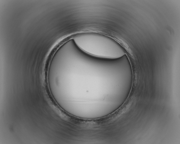 X0000112430784200908141110