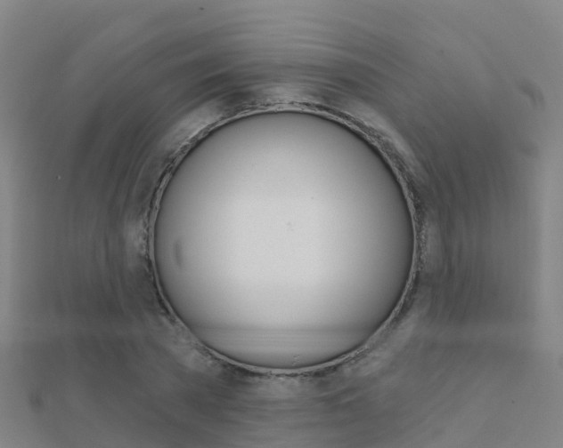 X0000112430785200908141110