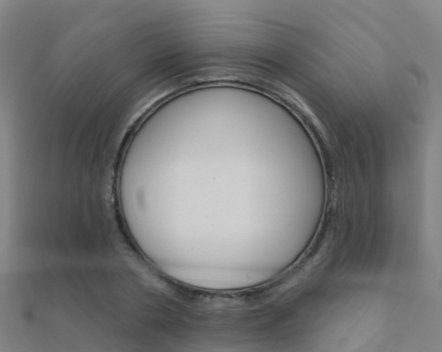 X0000112430786200908141110