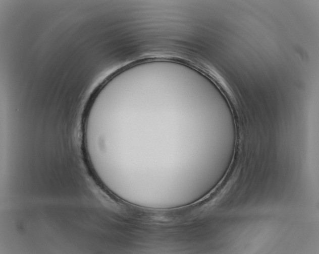 X0000112430787200908141110