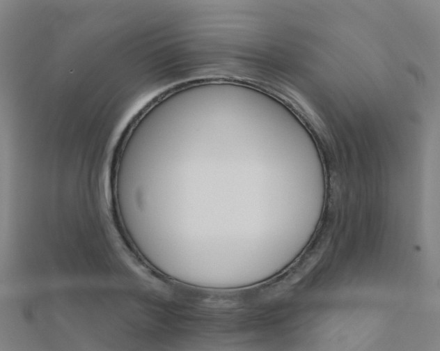 X0000112430788200908141110