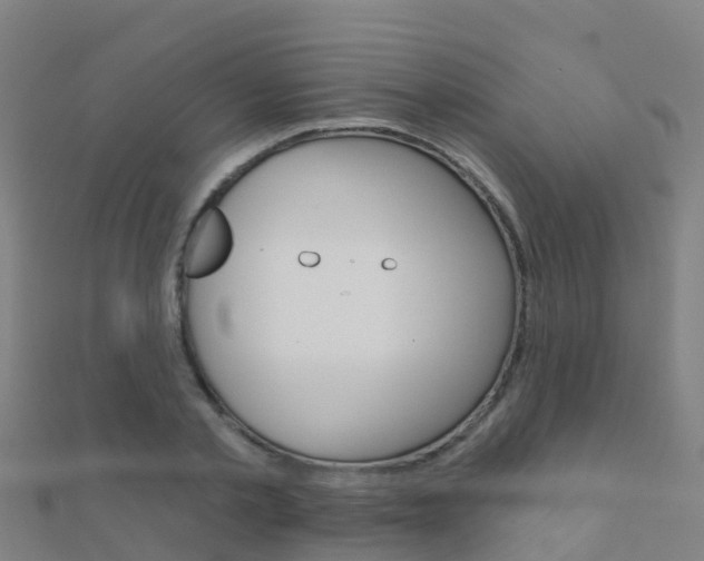 X0000112430789200908141110