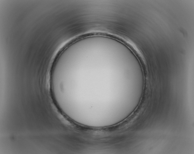 X0000112430791200908141110