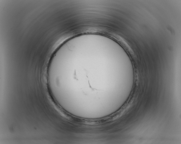 X0000112430794200908141110
