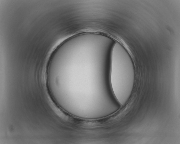 X0000112430795200908141110