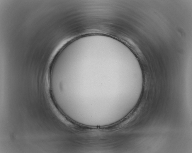 X0000112430796200908141110