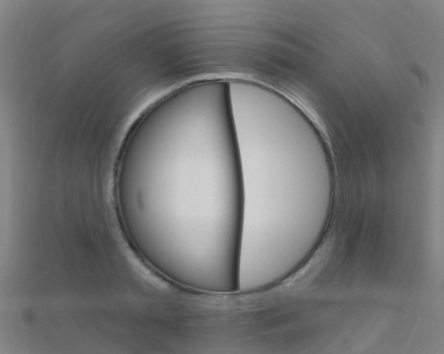 X0000112430797200908141110