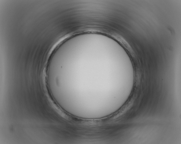 X0000112430798200908141110