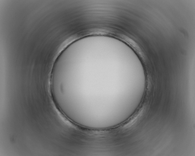 X0000112430802200908141110