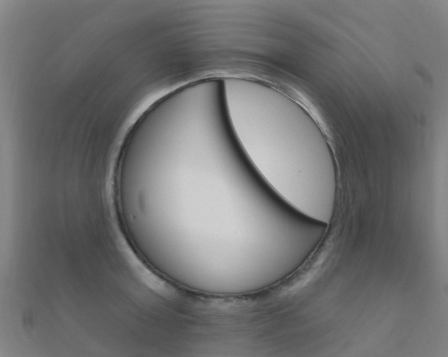 X0000112430803200908141110
