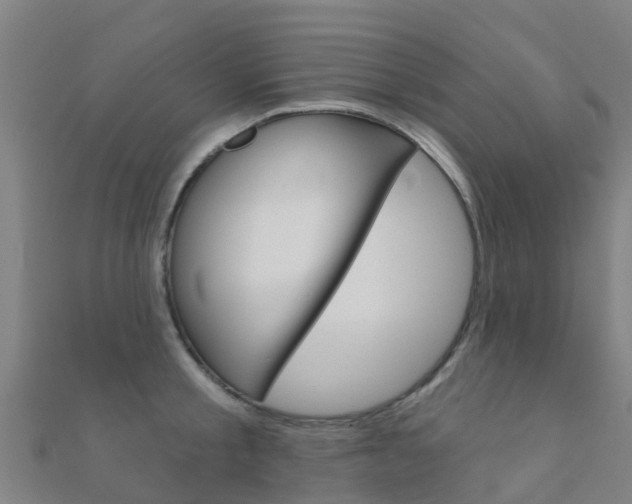 X0000112430805200908141110