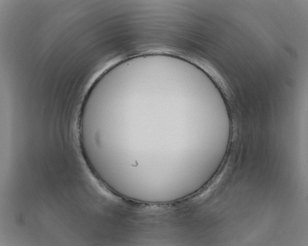 X0000112430806200908141110