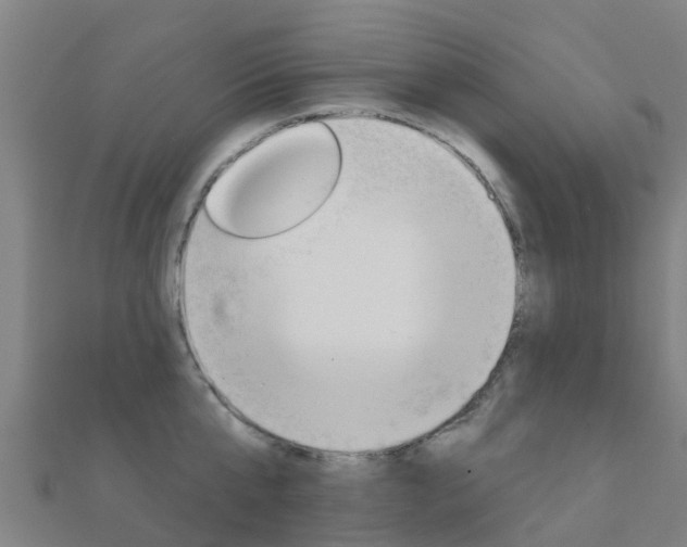 X0000112430807200908141110