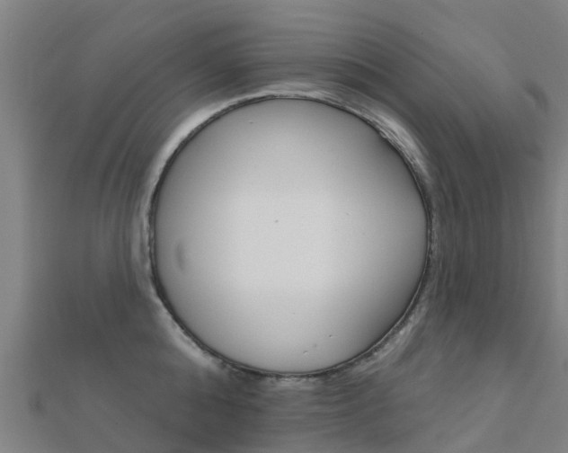 X0000112430808200908141110