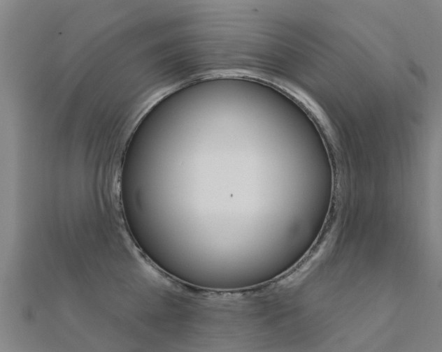 X0000112430809200908141110