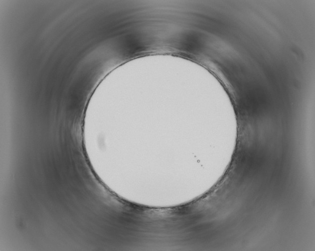 X0000112430810200908141110
