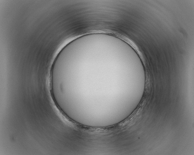 X0000112430811200908141110