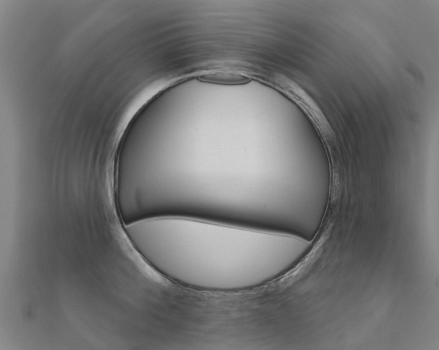 X0000112430812200908141110