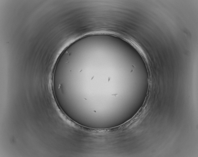 X0000112430813200908141110
