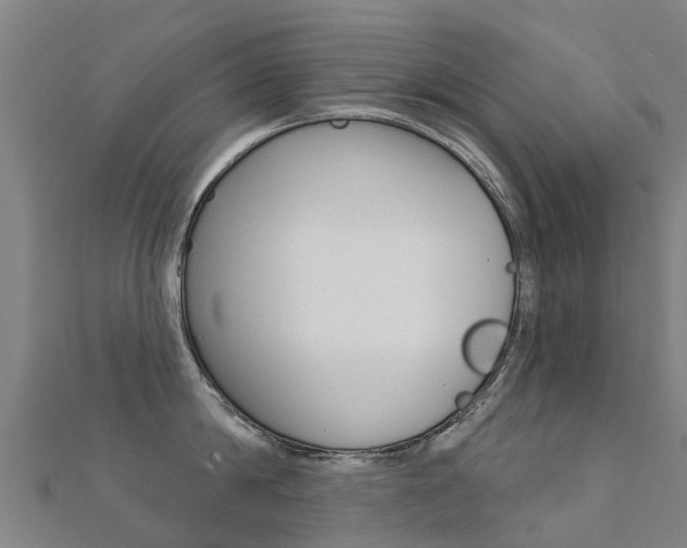 X0000112430814200908141110