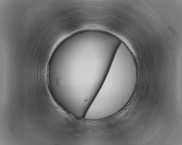 X0000112430815200908141110