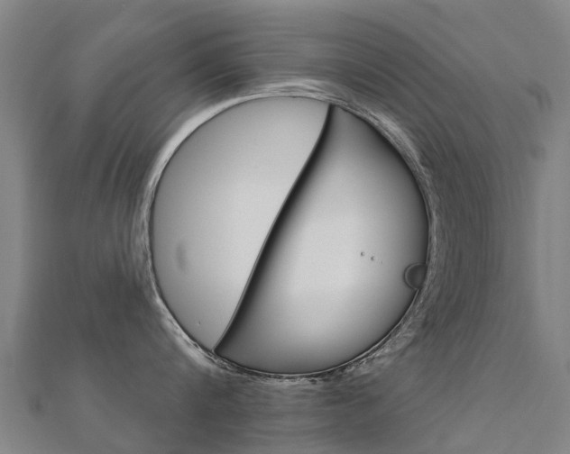 X0000112430816200908141110