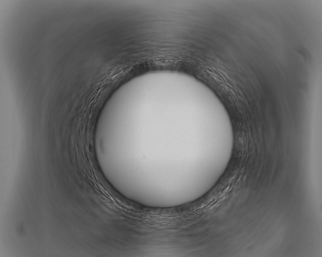 X0000112430817200908141109