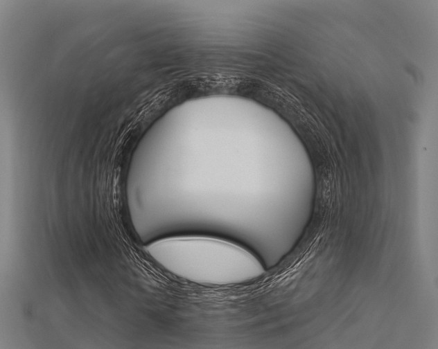 X0000112430818200908141109