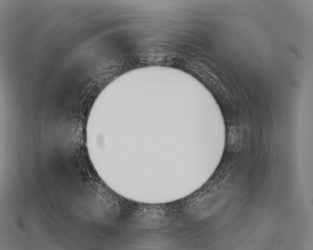 X0000112430820200908141109