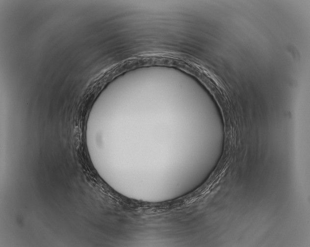 X0000112430821200908141109