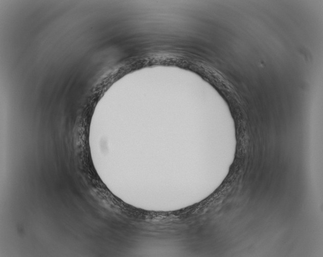 X0000112430824200908141109