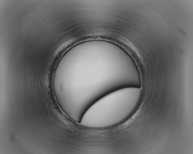 X0000112430826200908141109