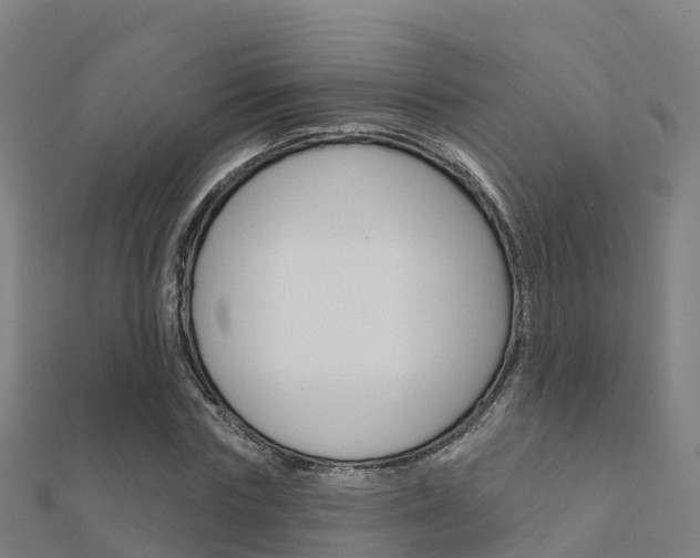 X0000112430827200908141109