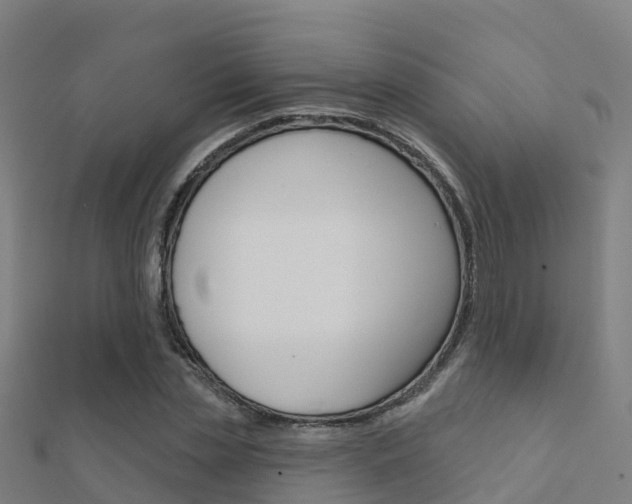 X0000112430829200908141109