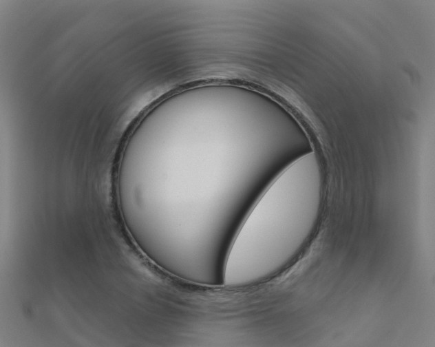 X0000112430834200908141109