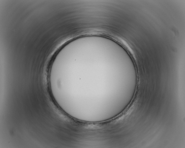 X0000112430835200908141109